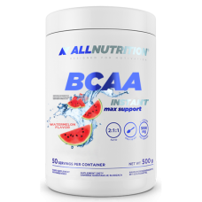 BCAA Max Support Instant - 500g Watermelon